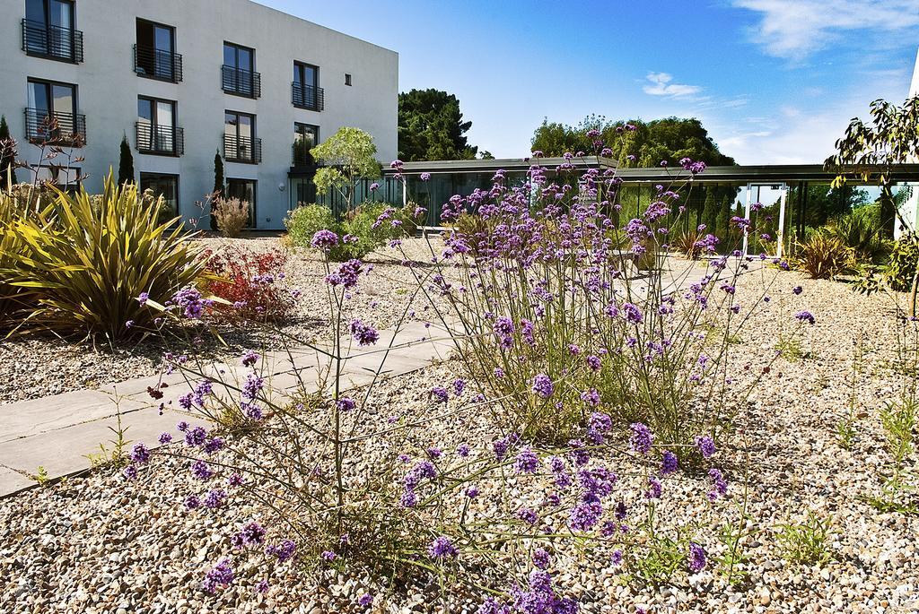 Lifehouse Spa And Hotel Frinton-on-Sea Exteriér fotografie